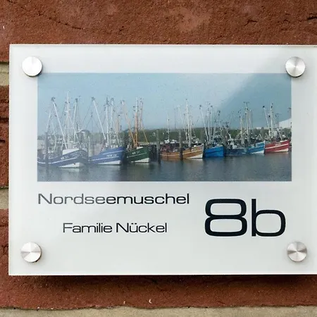 Nordseemuschel * Norddeich (Norden)